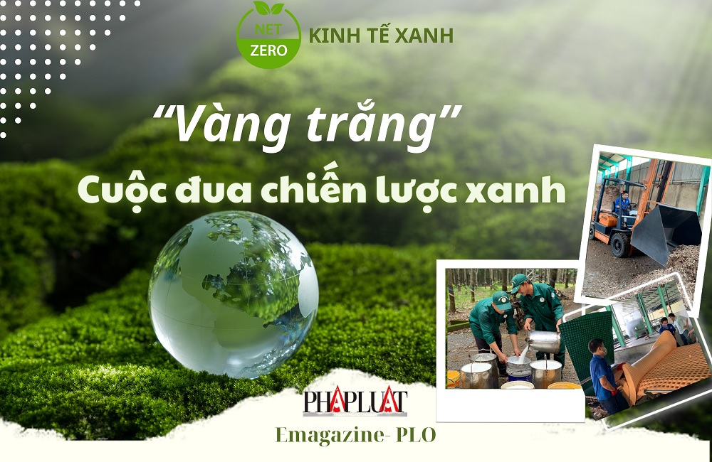 CAO SU PHÁT TRIỂN KINH TẾ TUẦN HOÀN - BÀI 1 - Vàng trắng và cuộc đua chiến lược xanh